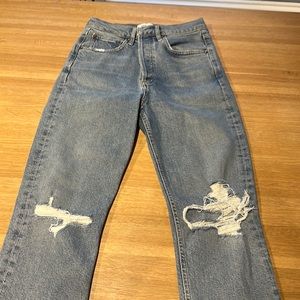 Agolde Riley Skinny Jean